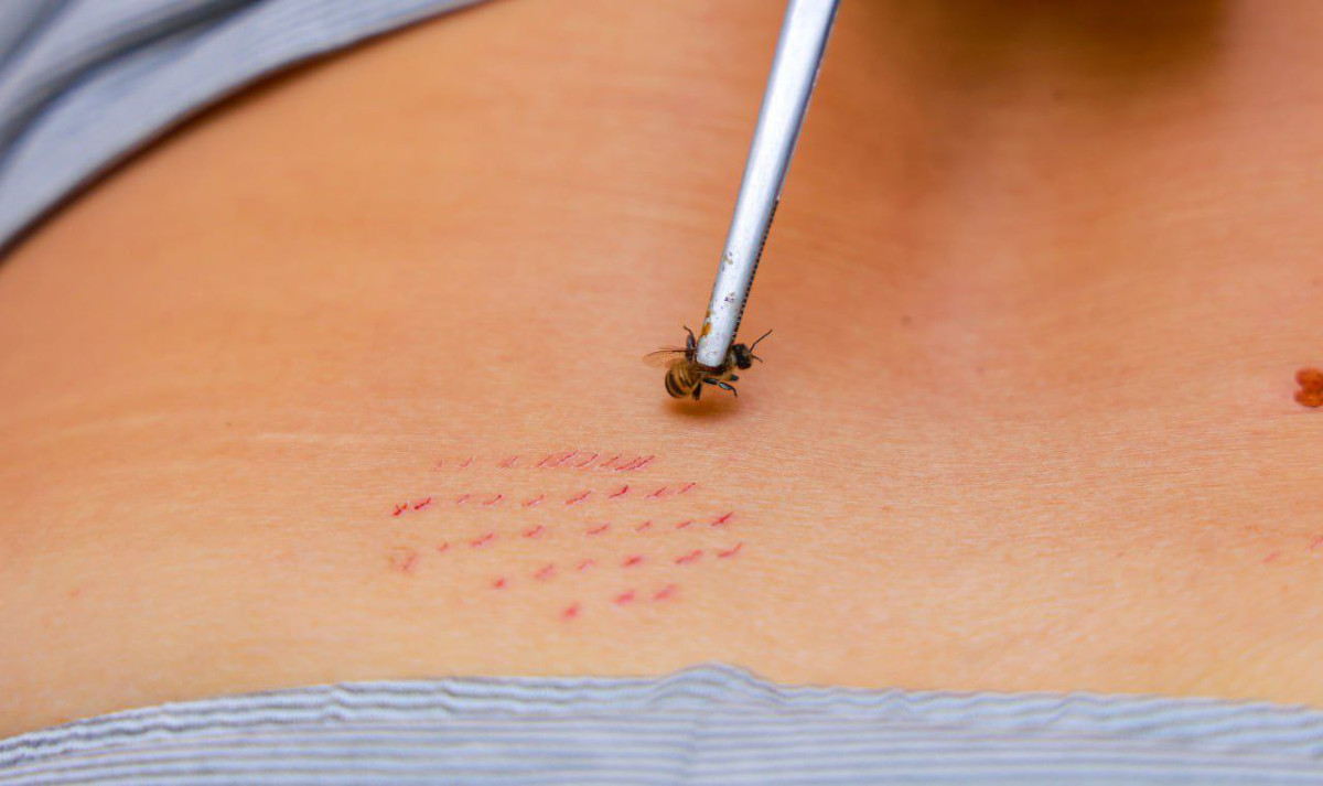 O'zbekiston, <a class='addr_link' target='_blank' href='/uz/viloyat/toshkent-viloyati'>Toshkent viloyati</a>, <a class='addr_link' target='_blank' href='/uz/shahar/zangiota' >Zangiota</a>, <a class='addr_link' target='_blank' href='/uz/kocha/kochasi-amir-temur/zangiota-tumani'>ko'chasi AMIR TEMUR</a>, 180А