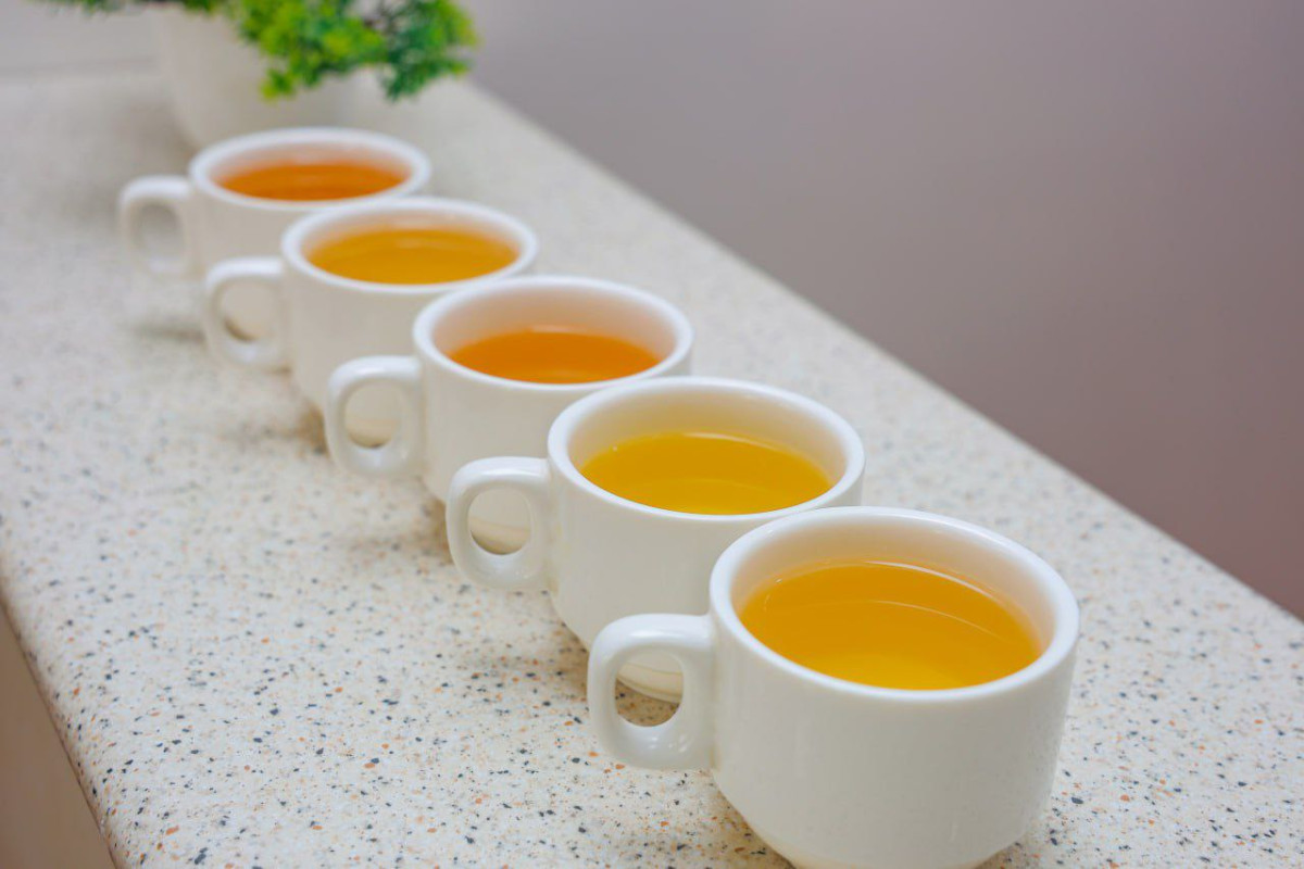 O'zbekiston, <a class='addr_link' target='_blank' href='/uz/viloyat/toshkent-viloyati'>Toshkent viloyati</a>, <a class='addr_link' target='_blank' href='/uz/shahar/zangiota' >Zangiota</a>, <a class='addr_link' target='_blank' href='/uz/kocha/kochasi-amir-temur/zangiota-tumani'>ko'chasi AMIR TEMUR</a>, 180А