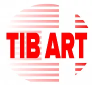 TIB ART LLC