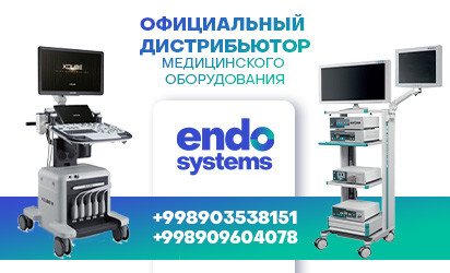 ENDO-SYSTEMS LLC