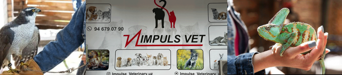 ООО IMPULS VET MChJ