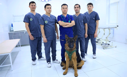 Ветеринарная клиника Mkm.vet