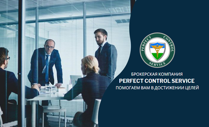 PERFECT CONTROL SERVICE LLC