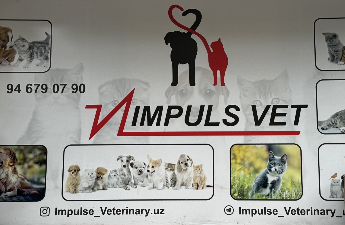 ООО IMPULS VET MChJ